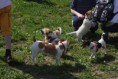 /album/fotogalerie/img-04252010n-jpg/