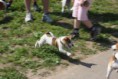 /album/fotogalerie/img-04252010q-jpg/