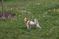 /album/fotogalerie/img-0584-jpg/