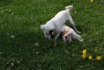 /album/fotogalerie/img-0590-jpg/