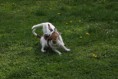 /album/fotogalerie/img-0591-jpg/